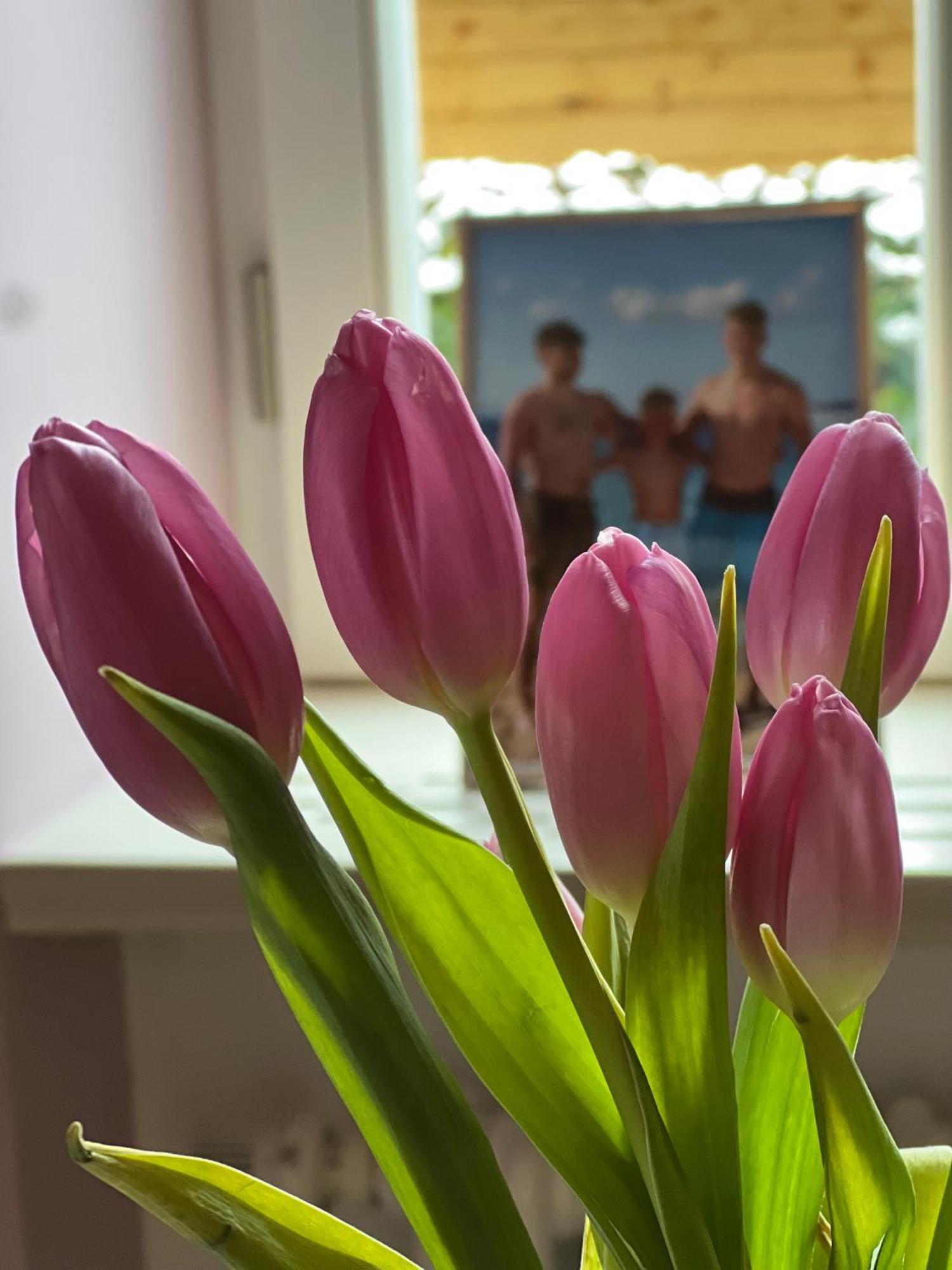 Vila Alice Bled - Adults Only Экстерьер фото