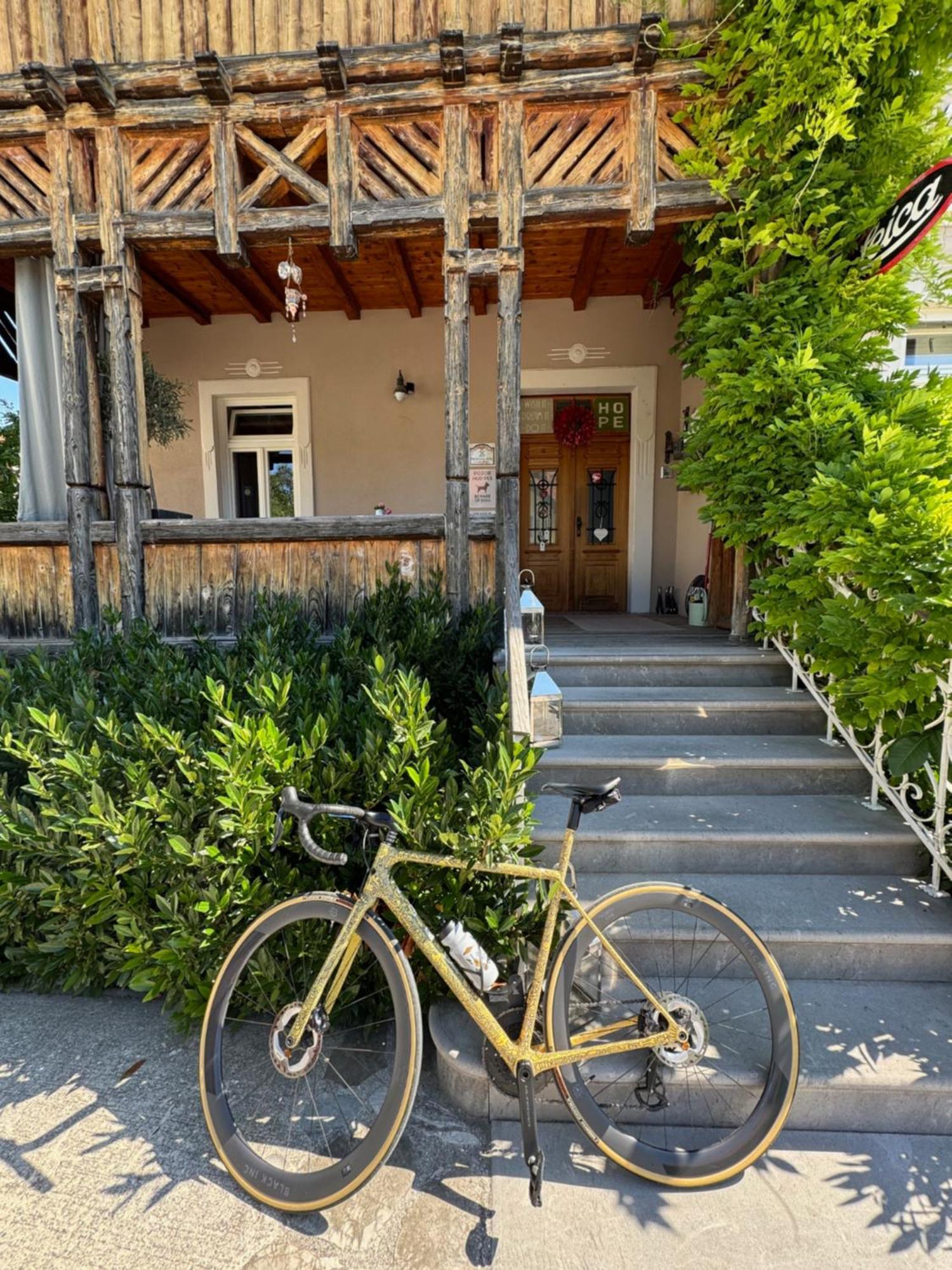 Vila Alice Bled - Adults Only Экстерьер фото